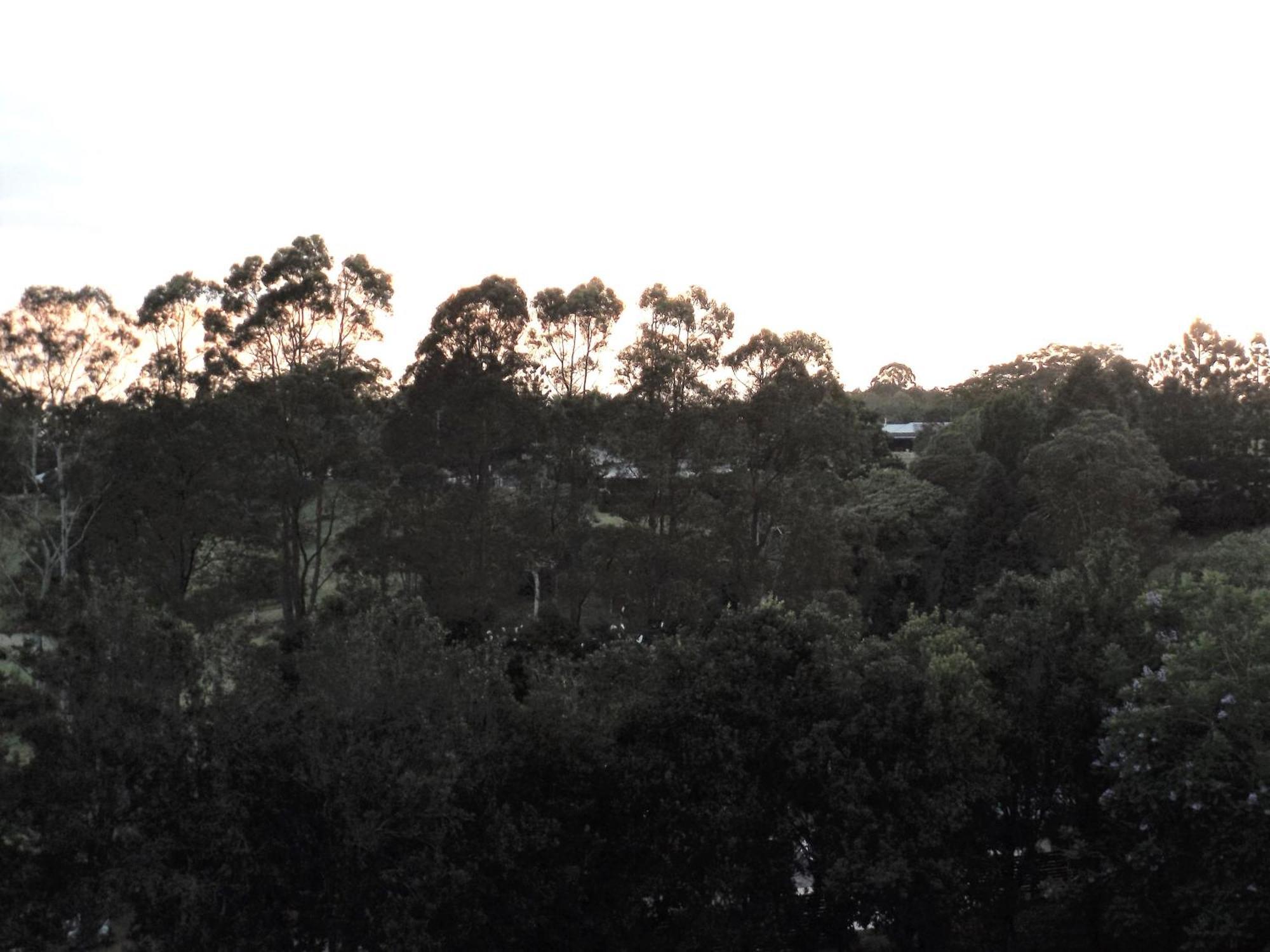 "On Burgum Pond" Cottages Maleny Exterior photo