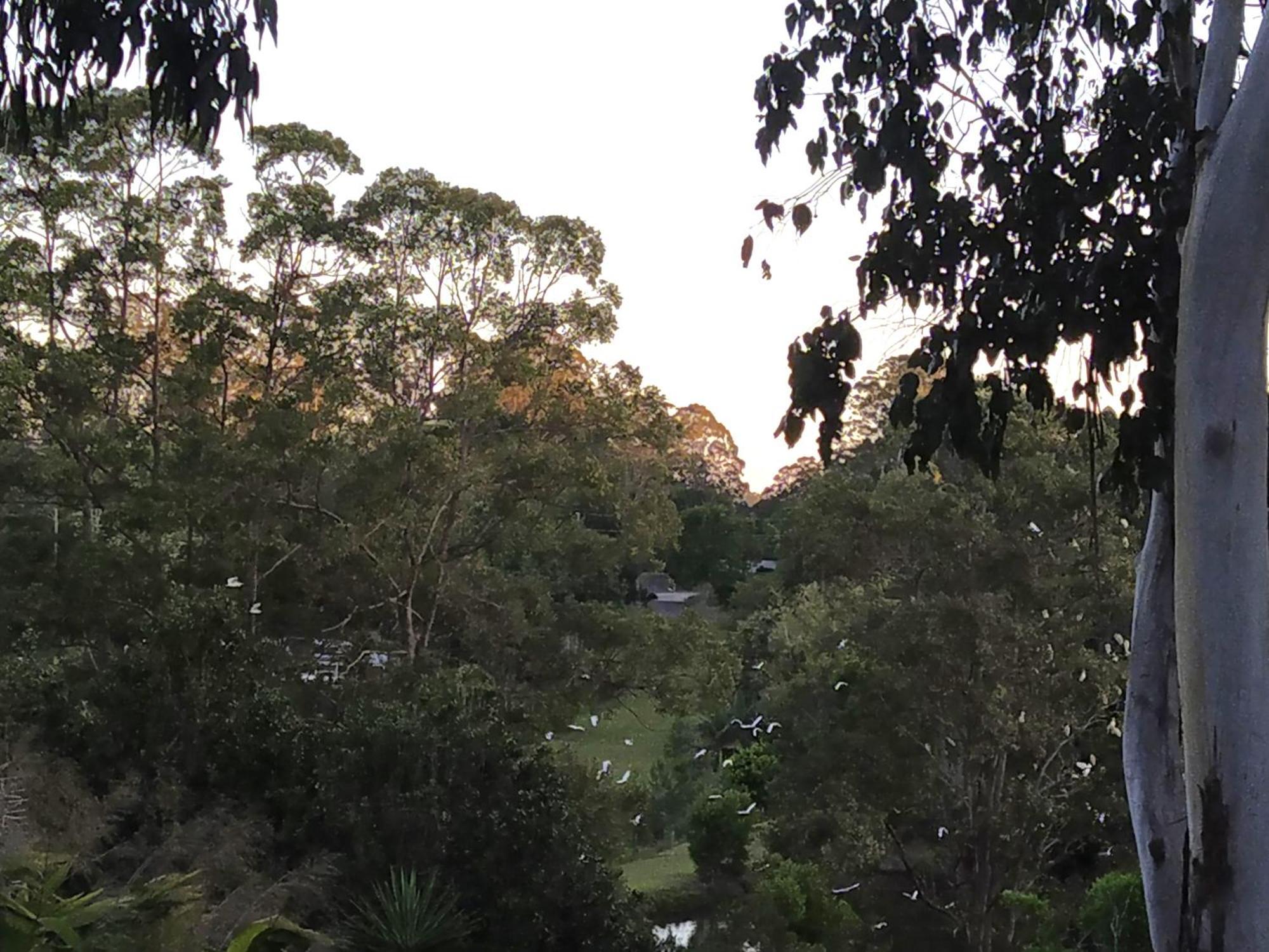 "On Burgum Pond" Cottages Maleny Exterior photo