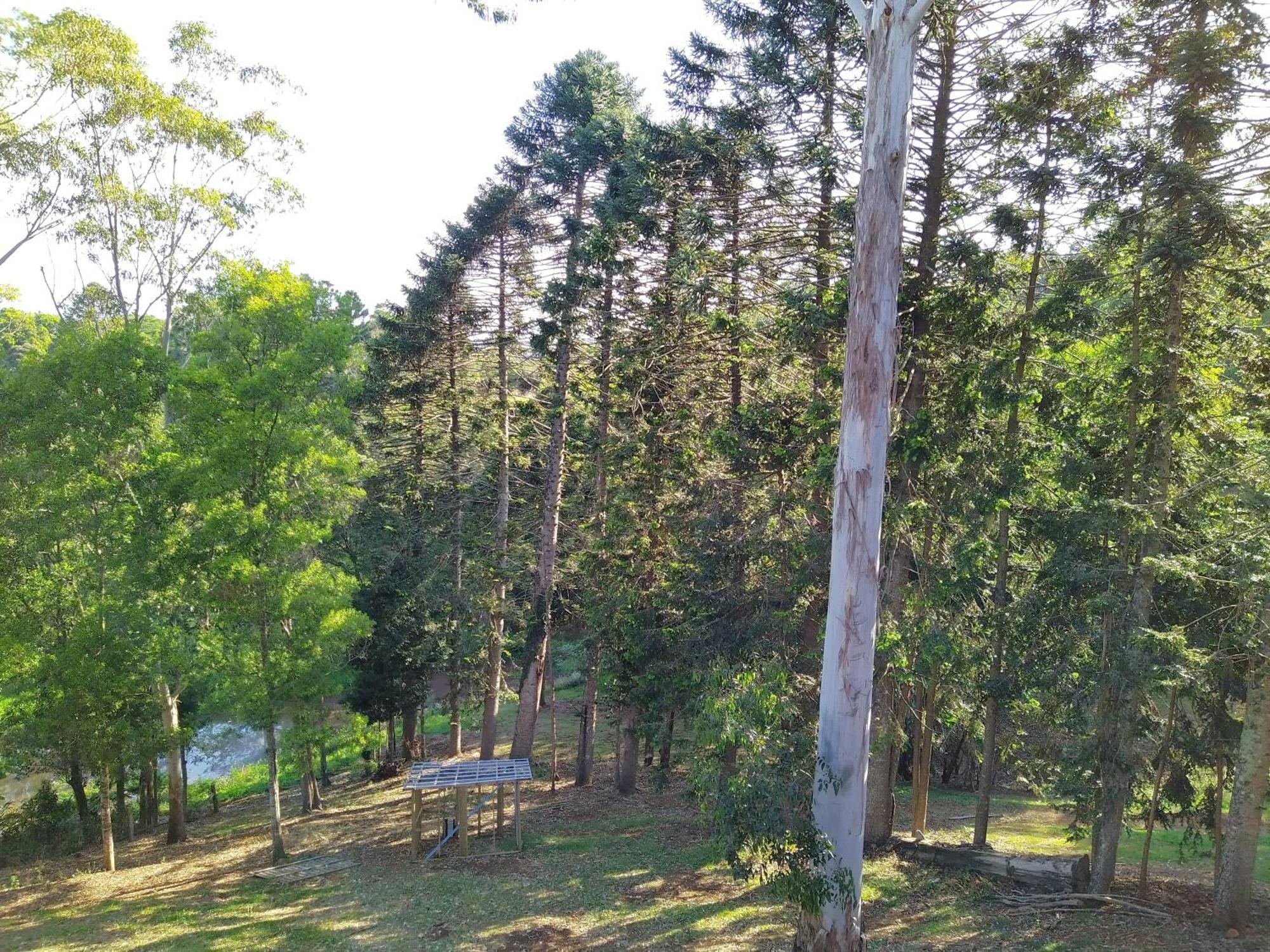 "On Burgum Pond" Cottages Maleny Exterior photo