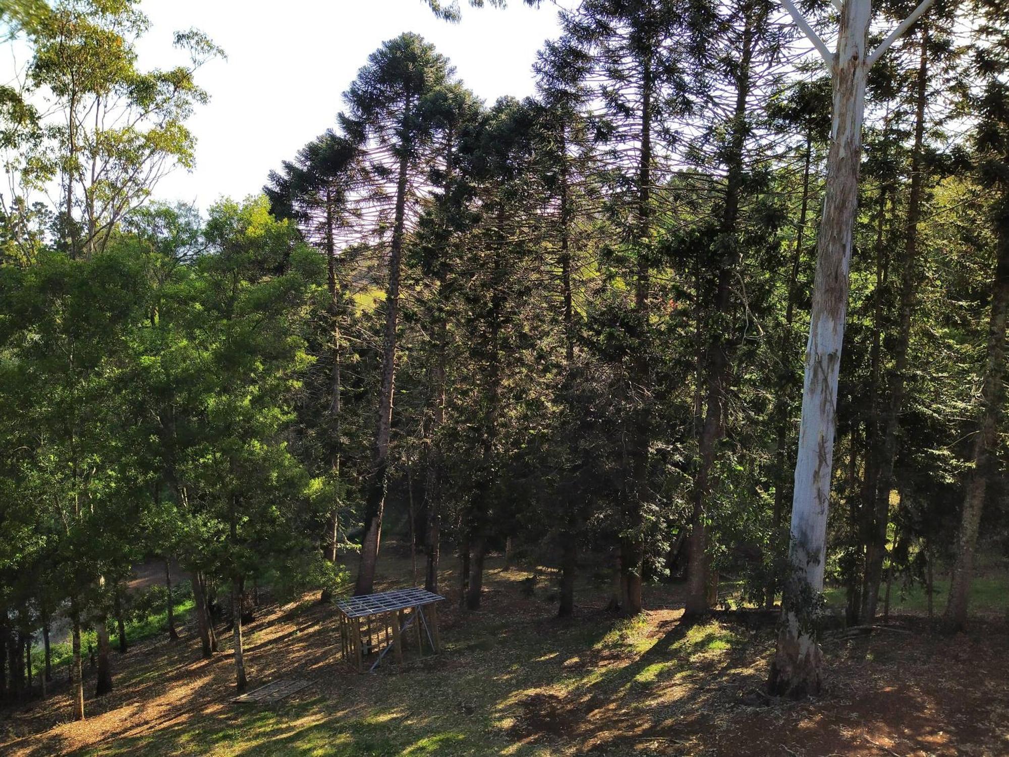 "On Burgum Pond" Cottages Maleny Exterior photo